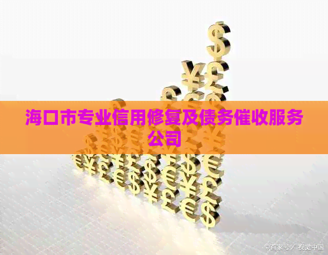 海口市专业信用修复及债务服务公司