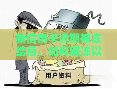 新信用卡逾期被冻结后，如何解冻以及可能的解决方案全面分析