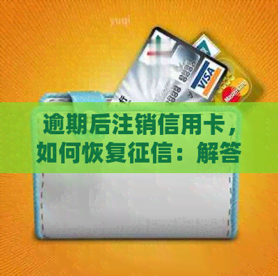 逾期后注销信用卡，如何恢复：解答你的疑问与恢复信用路径