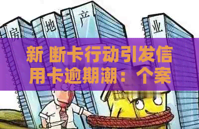 新 断卡行动引发信用卡逾期潮：个案剖析与应对策略