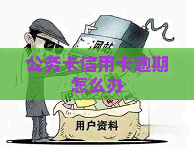 公务卡信用卡逾期怎么办