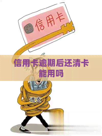 信用卡逾期后还清卡能用吗