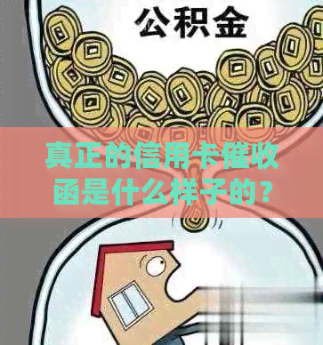 真正的信用卡函是什么样子的？2020年有哪些规定？包含章吗？
