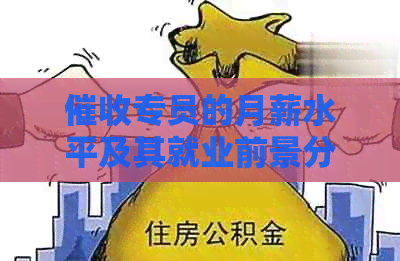 专员的月薪水平及其就业前景分析：如何查询待遇？