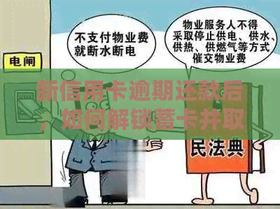 新信用卡逾期还款后，如何解锁蓄卡并取出资金？