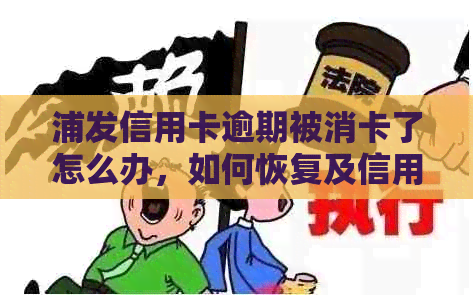 浦发信用卡逾期被消卡了怎么办，如何恢复及信用额度影响？