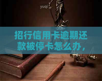 招行信用卡逾期还款被停卡怎么办，请问如何办理？