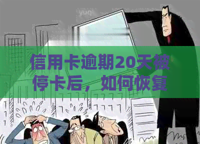 信用卡逾期20天被停卡后，如何恢复使用并避免类似问题再次发生？