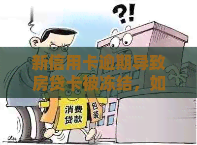 新信用卡逾期导致房贷卡被冻结，如何解冻与补救？