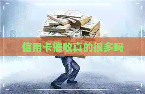 信用卡真的很多吗