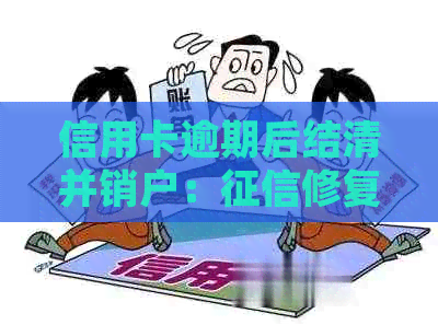 信用卡逾期后结清并销户：修复的时间线详解