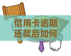 信用卡逾期还款后如何注销？全面解决用户相关问题