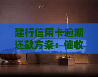 建行信用卡逾期还款方案：电话中的分期承诺真实吗？