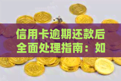 信用卡逾期还款后全面处理指南：如何注销卡片、修复信用并避免进一步问题