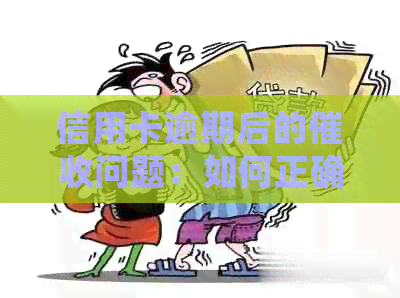 信用卡逾期后的问题：如何正确投诉电话避免举报？