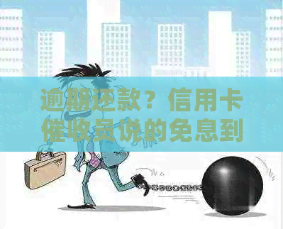 逾期还款？信用卡员说的免息到底是什么意思？