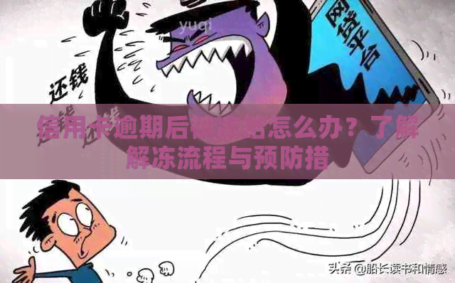 信用卡逾期后被冻结怎么办？了解解冻流程与预防措