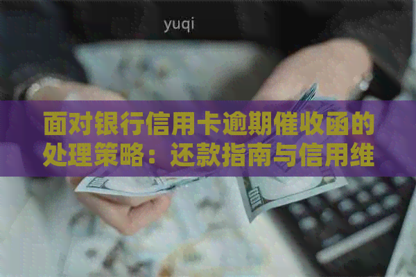 面对银行信用卡逾期函的处理策略：还款指南与信用维护建议