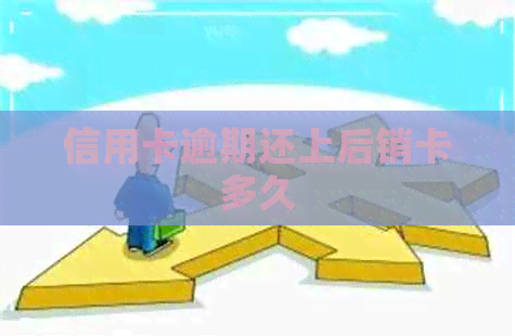 信用卡逾期还上后销卡多久