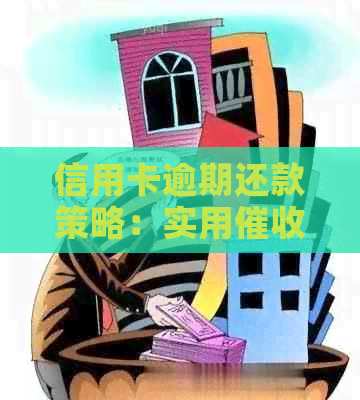 信用卡逾期还款策略：实用话术与技巧分享