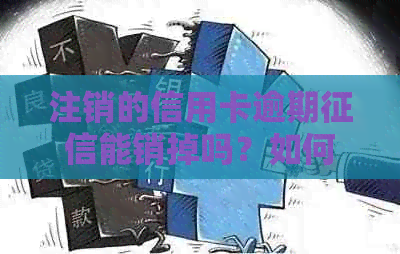 注销的信用卡逾期能销掉吗？如何恢复信用？