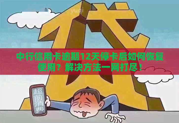 中行信用卡逾期12天停卡后如何恢复使用？解决方法一网打尽！