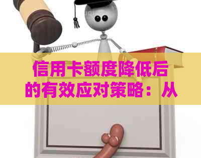 信用卡额度降低后的有效应对策略：从信用报告到申诉流程全解析