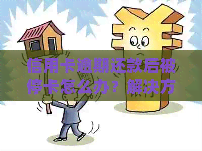 信用卡逾期还款后被停卡怎么办？解决方法和预防措一文看懂