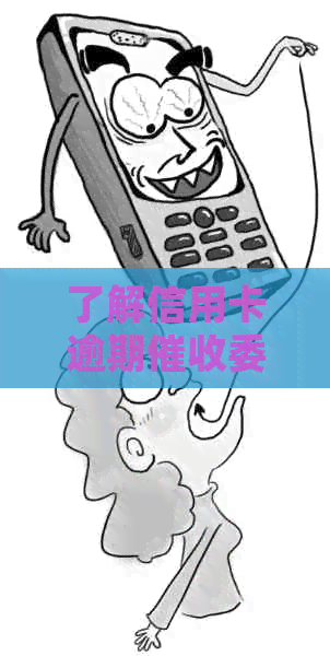 了解信用卡逾期委外费用的详细解析与银行服务流程