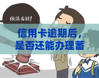 信用卡逾期后，是否还能办理蓄卡及相关使用问题