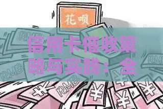 信用卡策略与实践：全面指南，解决用户可能遇到的所有问题