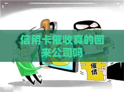 信用卡真的回来公司吗