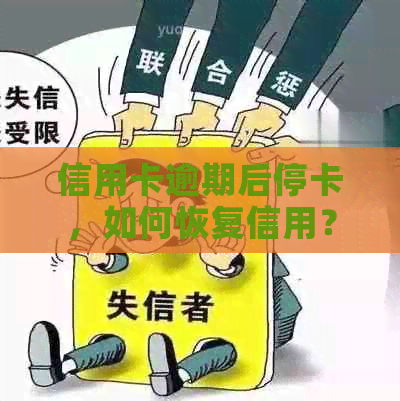 信用卡逾期后停卡，如何恢复信用？解决办法一网打尽！