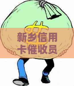 新乡信用卡员工作体验全面解析：职责、挑战与收益详解
