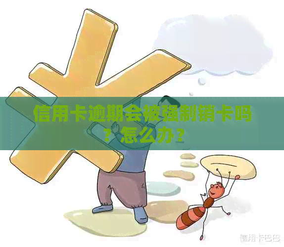 信用卡逾期会被强制销卡吗？怎么办？