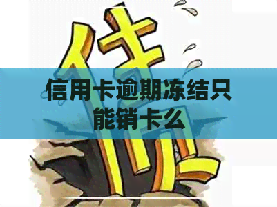 信用卡逾期冻结只能销卡么