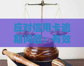 应对信用卡逾期问题：有效投诉策略与实践