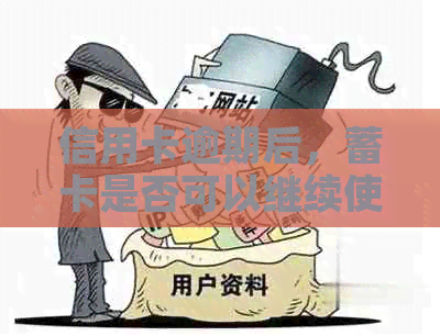 信用卡逾期后，蓄卡是否可以继续使用及其相关费用问题解析