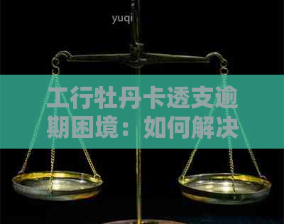 工行牡丹卡透支逾期困境：如何解决还款问题与优化信用记录？