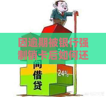 因逾期被银行强制销卡后如何还款并消除不良记录？