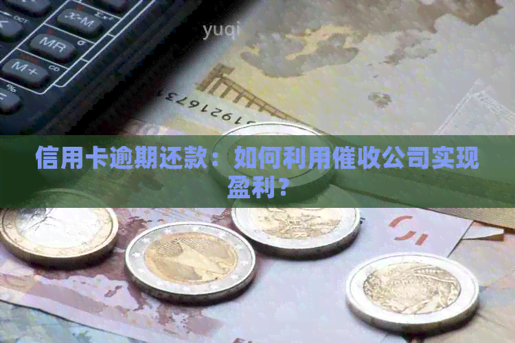 信用卡逾期还款：如何利用公司实现盈利？