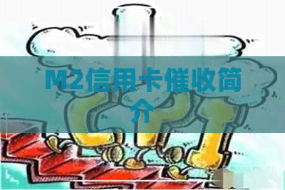M2信用卡简介