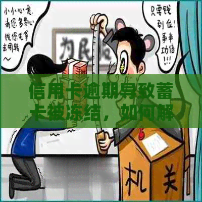 信用卡逾期导致蓄卡被冻结，如何解冻并防止类似情况再次发生？