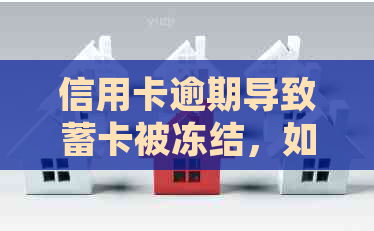 信用卡逾期导致蓄卡被冻结，如何解除冻结并防止再次发生？