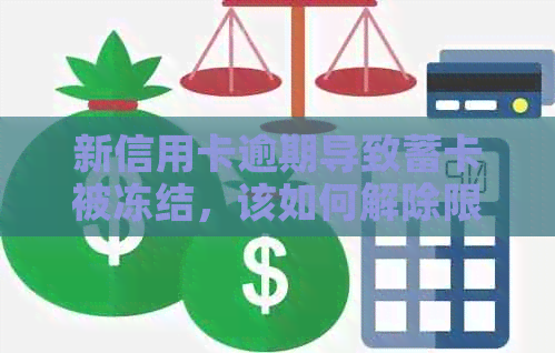 新信用卡逾期导致蓄卡被冻结，该如何解除限制？