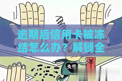 逾期后信用卡被冻结怎么办？解锁全攻略，解决你的疑惑