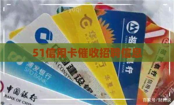 51信用卡招聘信息