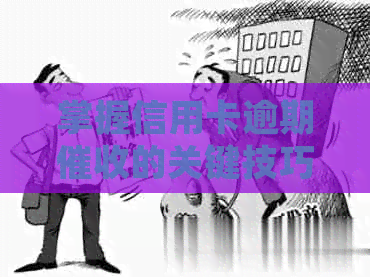 掌握信用卡逾期的关键技巧：成为高效员所需素质分析