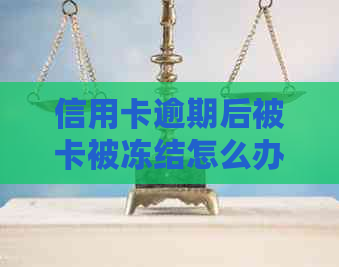 信用卡逾期后被卡被冻结怎么办：解决办法与解冻步骤