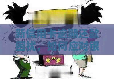 新信用卡逾期还款困扰，如何应对银行电话和上门？